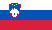 slovenski-jezik